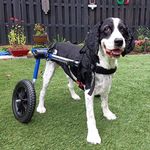 Garry Bird - @garrybird452 - Instagram
