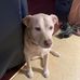 Garry Bishop - Facebook