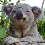 Garry Cooke - @garry.cooke.58 - Instagram