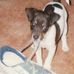 Garry Cuthbert - Facebook