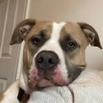 Garry Dows - @garry.dows - Instagram