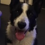 Garry - @garry_dow75 - Instagram