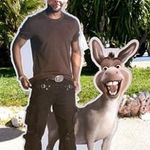 garry fitzpatrick - @garry.fitzpatrick - Instagram