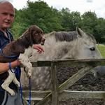 Garry Hall - @gazhalluk1946 - Instagram