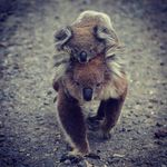 Garry Hamilton - @garryhamilton - Instagram