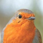 Garry Hamilton - @garry20166 - Instagram