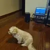 Garry Hancock - @garry.hancock - TikTok