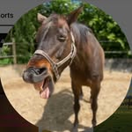 Garry Horse Man - @garryhorseman69 - Instagram