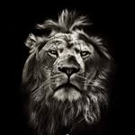 Garry Holmes - @garryholmes416 - Instagram