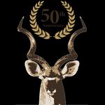 Garry Kelly Safaris - @garrykellysafaris - Instagram