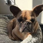 @garrykitchener - Instagram