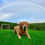 Garry Macdonald - @gmacd75 - Instagram