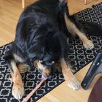 Garry MacDonald - @gsmacd1 - Instagram