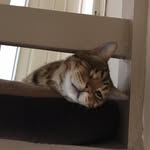 Garry Matthews - @gpm022000 - Instagram