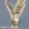 garryoneill406 - @garryoneill406 - TikTok