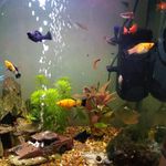 Garry Patrick Harman - @garrypatrickharman - Instagram