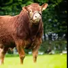 garry patterson - @garrypatterson3974 - TikTok