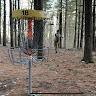 Garry Patton - @gpdiscgolf - TikTok