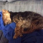 Garry Patton - @garrypatton.patton - Instagram