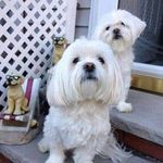 Garry Patton - @eipnwongphachn - Instagram