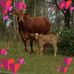 Garry Payne - Facebook
