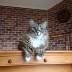 Garry Payne - @garry.payne.9 - Instagram