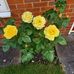 Garry Perry - Facebook