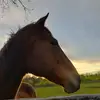 Garry_Perry - @garry_perry5 - TikTok
