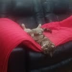 Garry Pope - @mrgrumpy6333 - Instagram