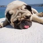 Garry Pope Sr. - @435buttugly - Instagram