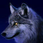 garry Powell - @cyberwolf360 - Instagram