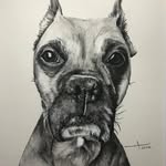 @garr_yreed - Instagram
