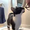 Garry Reed#vet - @garry.reed2 - TikTok