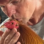 Kerry Robertson Gamefarm - @garryrichardsongamefarm - Instagram