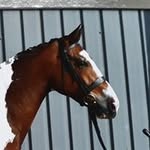 Garry Ross - @garryross33 - Instagram