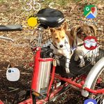 norman Garry Sharp - @normangarrysharp - Instagram