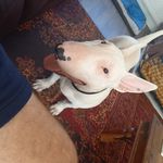 Garry Stevens - @garrystevens2550 - Instagram