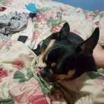 Garry Stevens - @garry.stevens.3939 - Instagram
