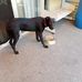 Garry Stevens - Facebook