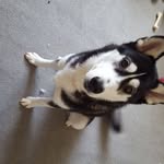 Garry Stewart - @garry.stewart.397 - Instagram