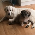 Garry Stewart - @garrystewart13 - Instagram