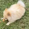 Garry Torres - @garry.torres66 - TikTok