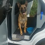 Garry Turner - @garryturner8775 - Instagram