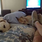 Garry Wagner - @sachse.texas - Instagram