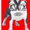 garry ware - @dogoftwohead - TikTok