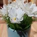 Garry Yang - Facebook
