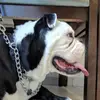 garthblair7 - @garthblair7 - TikTok