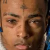 Brandon Garth - @brandongarth3 - TikTok