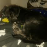 Garth Pearson - @garthbrandonpearson - Instagram