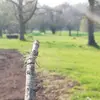 garth_westclark_till - @garth_westclark_t - TikTok